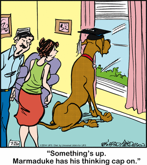 marmaduke